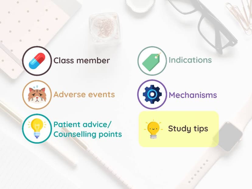 Key points you need to know 🧠