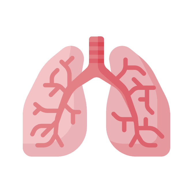 Respiratory